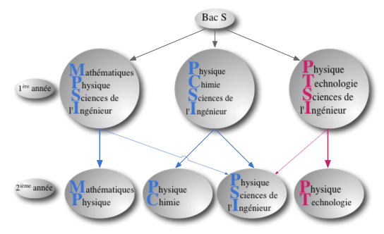 Organigramme des Classes Préparatoires Scientifiques - 55.5 ko